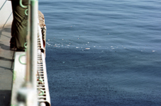 Trash dumped overboard